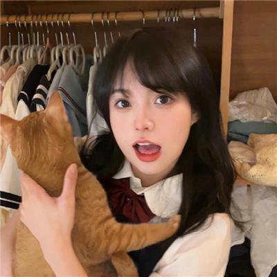 凤舞龙翔